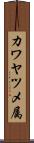 カワヤツメ属 Scroll