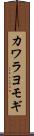 カワラヨモギ Scroll