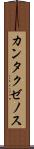 カンタクゼノス Scroll