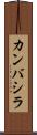 カンバシラ Scroll