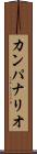 カンパナリオ Scroll