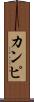 カンピ Scroll