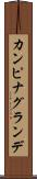 カンピナグランデ Scroll