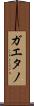ガエタノ Scroll