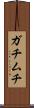 ガチムチ Scroll