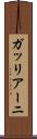 ガッリアーニ Scroll