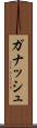 ガナッシュ Scroll