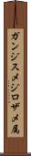 ガンジスメジロザメ属 Scroll