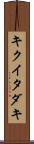 キクイタダキ Scroll