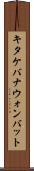 キタケバナウォンバット Scroll