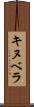 キヌベラ Scroll