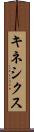 キネシクス Scroll