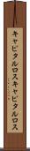 キャピタルロス Scroll