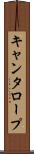 キャンタロープ Scroll