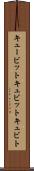キュービット Scroll