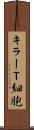 キラーＴ細胞 Scroll