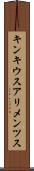 キンキウスアリメンツス Scroll