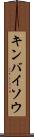 キンバイソウ Scroll