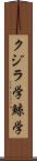 クジラ学 Scroll
