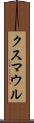 クスマウル Scroll