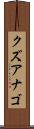 クズアナゴ Scroll