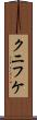 クニフケ Scroll