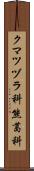 クマツヅラ科 Scroll