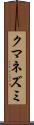 クマネズミ Scroll