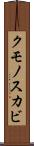クモノスカビ Scroll