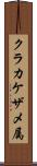 クラカケザメ属 Scroll