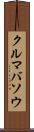 クルマバソウ Scroll
