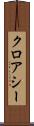 クロアシー Scroll
