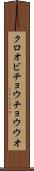 クロオビチョウチョウウオ Scroll