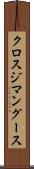 クロスジマングース Scroll
