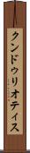 クンドゥリオティス Scroll