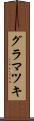 グラマツキ Scroll