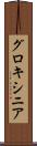 グロキシニア Scroll