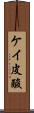 ケイ皮酸 Scroll