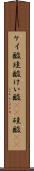 ケイ酸 Scroll