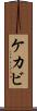 ケカビ Scroll