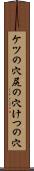 ケツの穴 Scroll