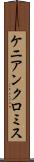 ケニアンクロミス Scroll