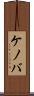 ケノバ Scroll