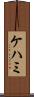 ケハミ Scroll