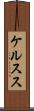 ケルスス Scroll