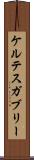 ケルテスガブリー Scroll