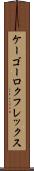 ケーゴーロクフレックス Scroll