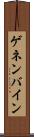 ゲネンバイン Scroll