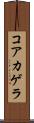 コアカゲラ Scroll