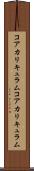 コアカリキュラム Scroll